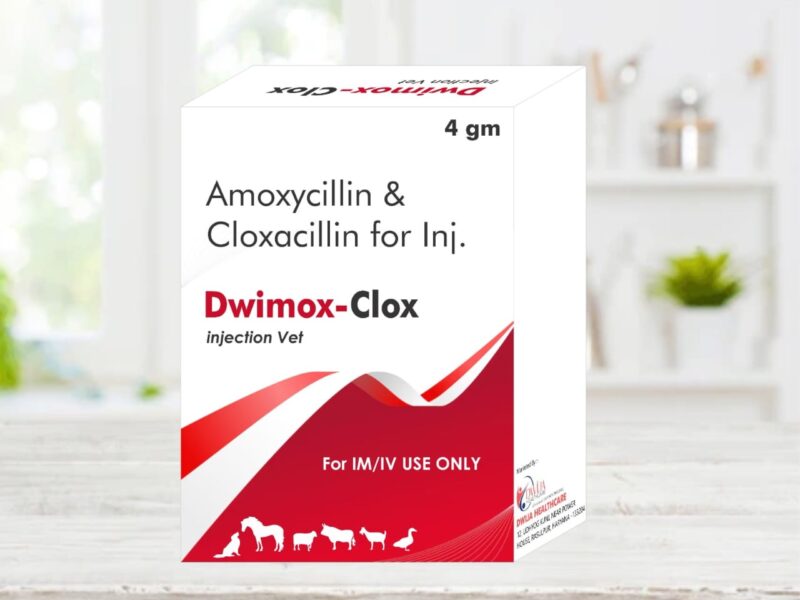 Dwimox-Clox Injection (Amoxycillin & Cloxacillin for Injection Vet) – 4 gm